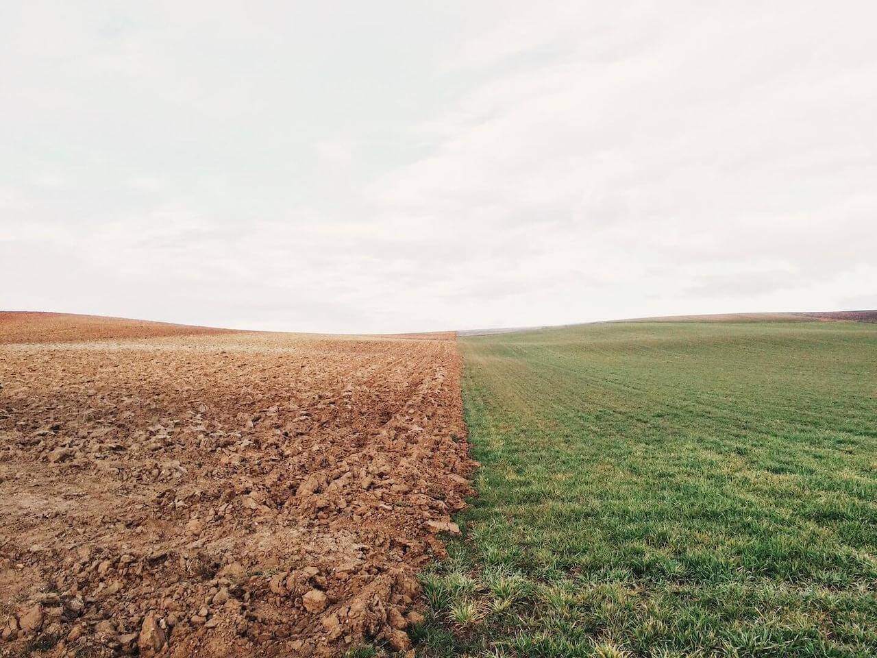 Using environment config in Ionic2 cover image